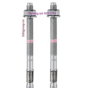 Bulong nở HST2 V3 ảnh lô gô